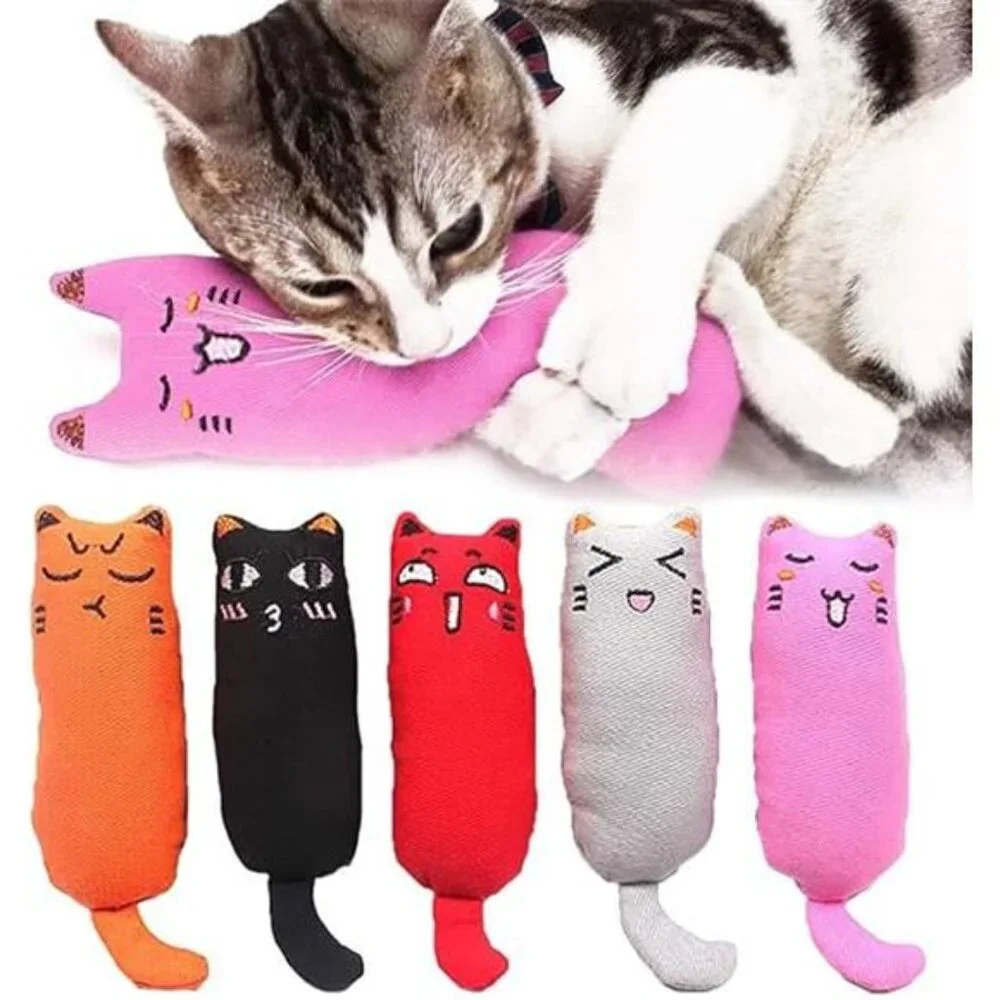 5Pcs Bite Resistant Catnip Toy for Cats,Catnip Filled Cartoon Mice Cat